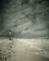 blueneo (Мартин Стоянов)