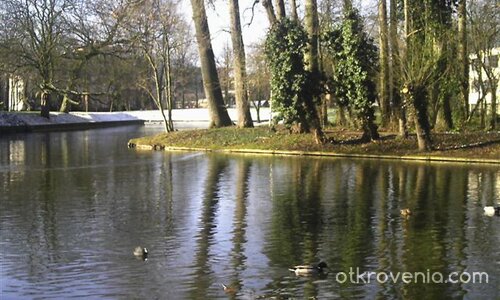 Спокойствие