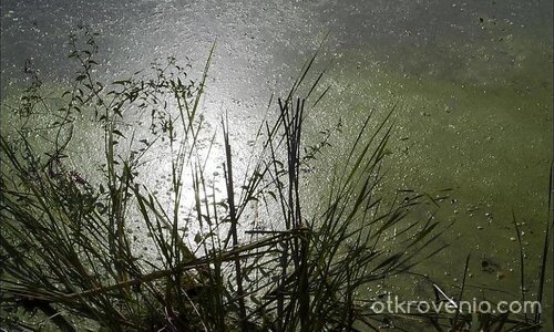 Реката на живота