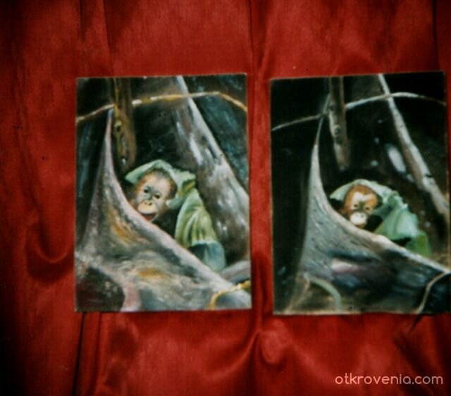 Две маймуни