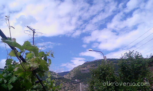 От всичко по малко ;)