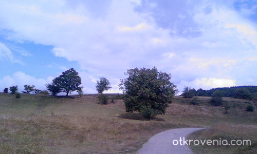 Един страхотен ден