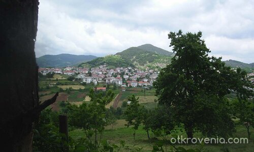 Eli-as (Ели-ас)