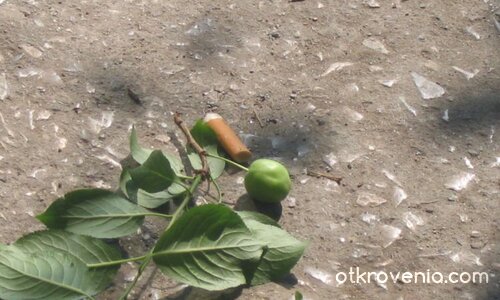 Съжителство