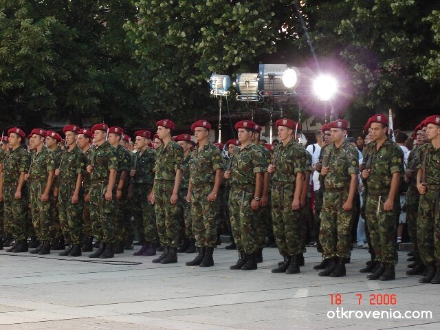 Строени баретки