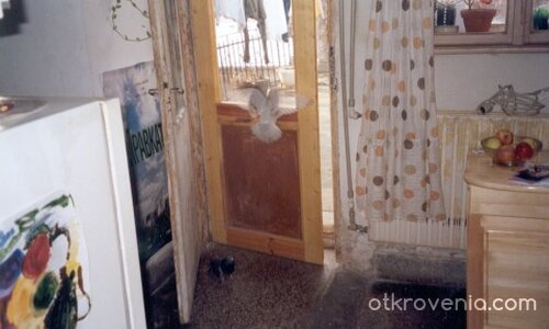 vision of inner world