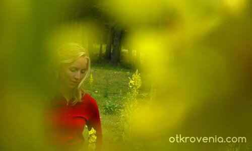 мечтание в жълто