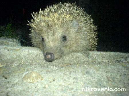 нощна смяна :)