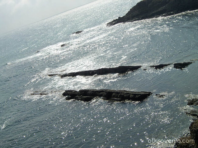 На крилете на грифона