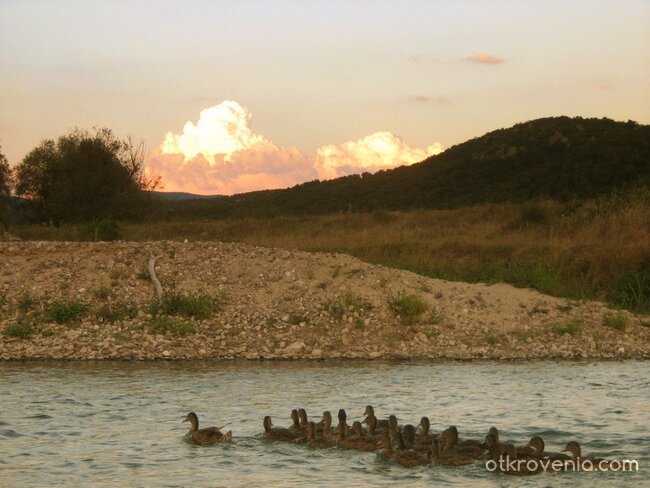 Колекция с ... патенца :)