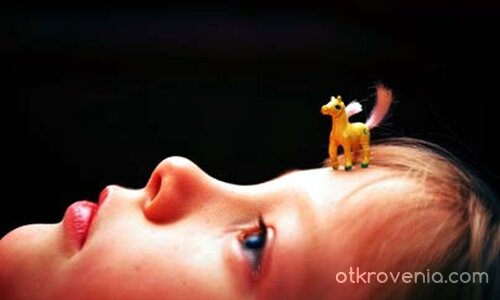 Напред, конче мое