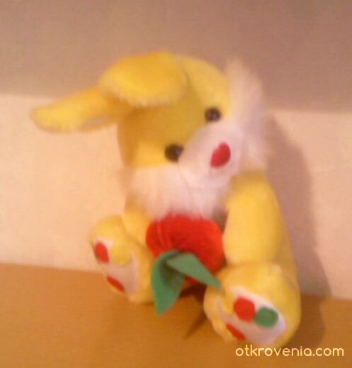 Жълто зайче