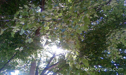 Проникваща светлина