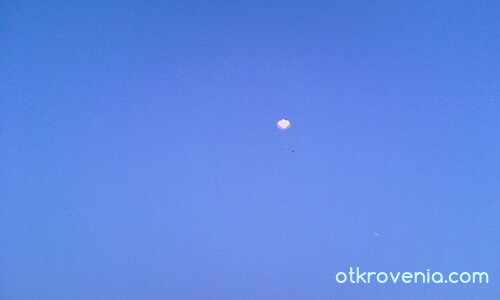 Синичко небе