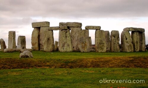 Зелената поляна...