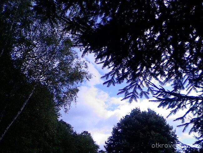 Процеп за небето