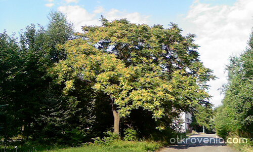 Път на влюбените