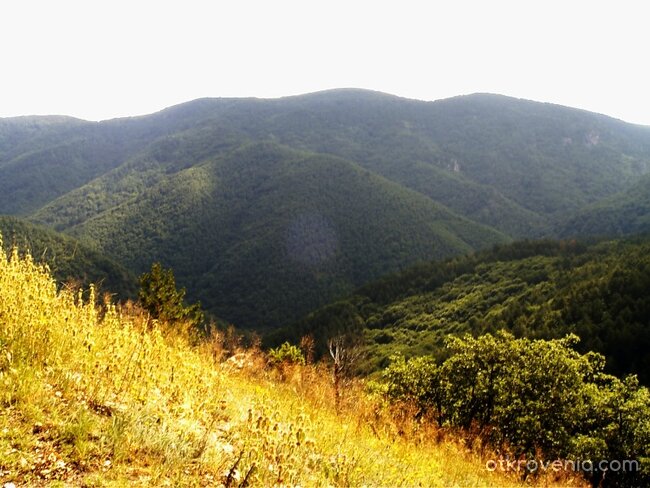 Лято в Родопите