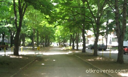 Нарисувай ме