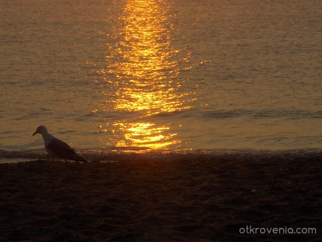 За това мечтая всяко лято