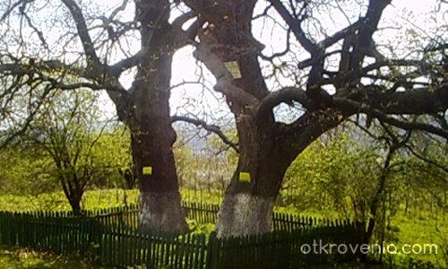 Силата на вековете