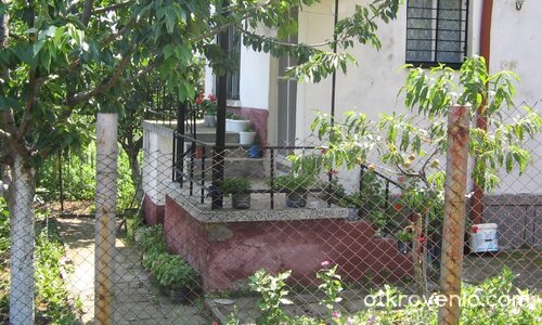 Спокойствие в двор от здравец и мушкато