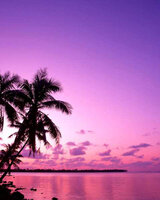 pateto (Десислава Костадинова)