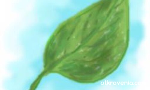 Синьо листо