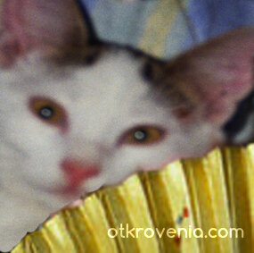 Защо не ме харесваш...