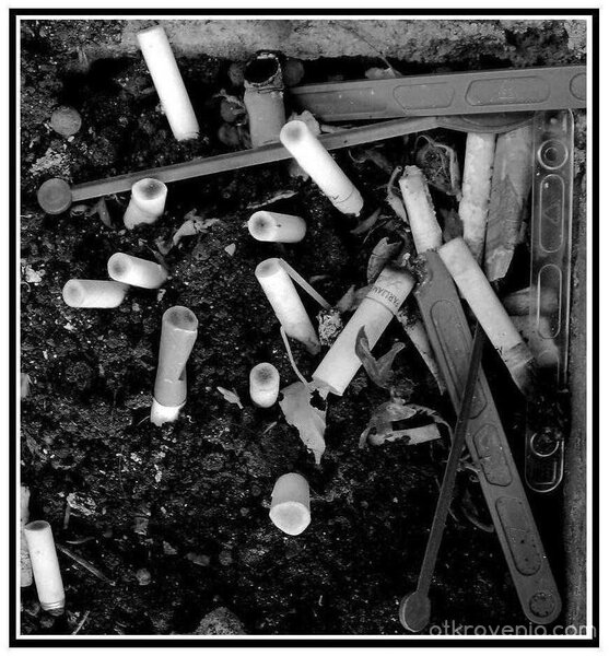 Това сме ние..