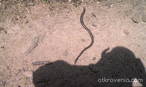 Фотографско изпитание