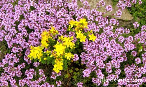 ... в планината...