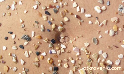 Пъпче сред океан от мидички