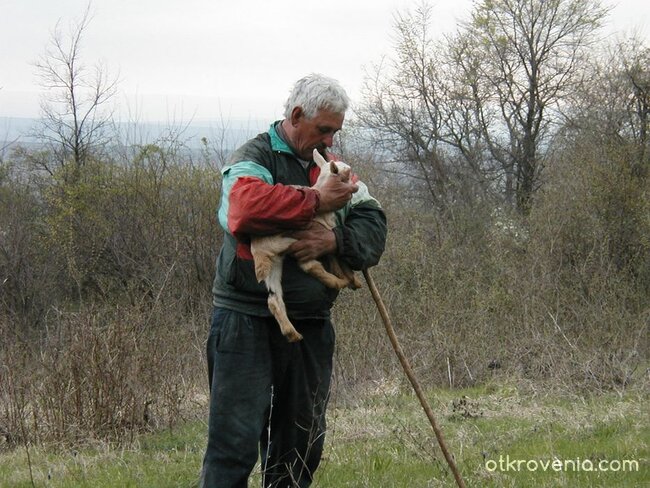 Всичко, което имам