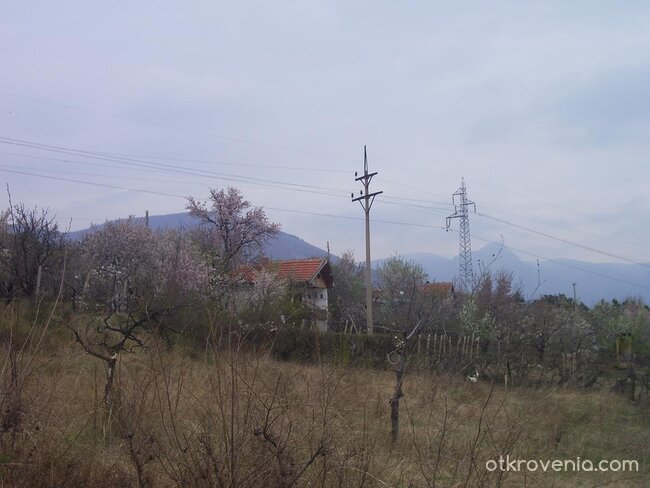 Селце пред буря