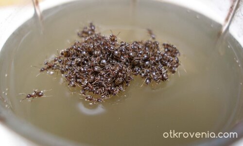 островът на спасението...