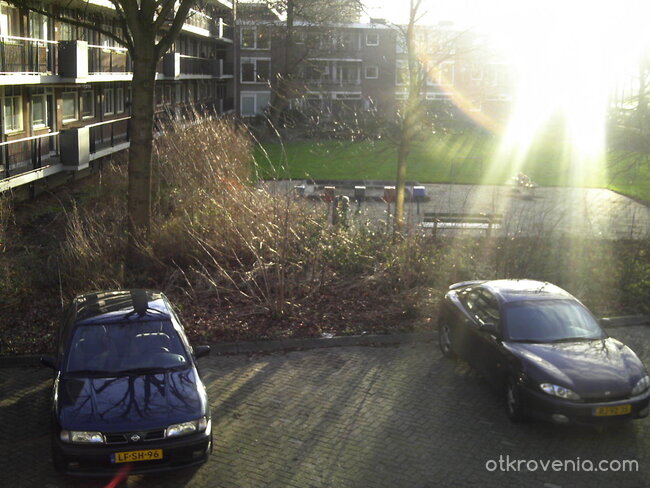 Слънце, слязло на земята.