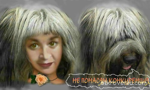 Не понасям конкуренция!