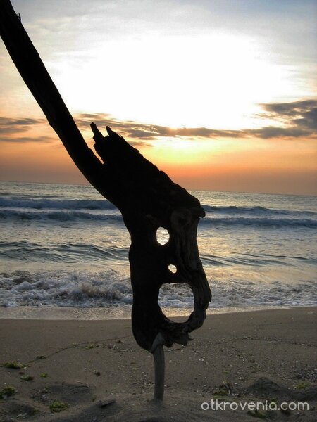 Спомените на Старият дънер...