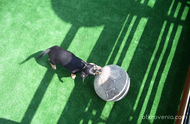 ..няма пък..и аз мога да съм футболист :Р