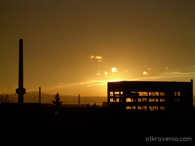 Златен Здрач