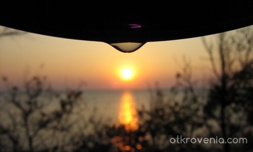 последна капка чай в зората на новия ден... ((до) за смокинката)