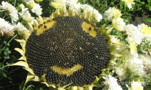 На Георги Колев, екипът му и всички усмихнати люде...:)