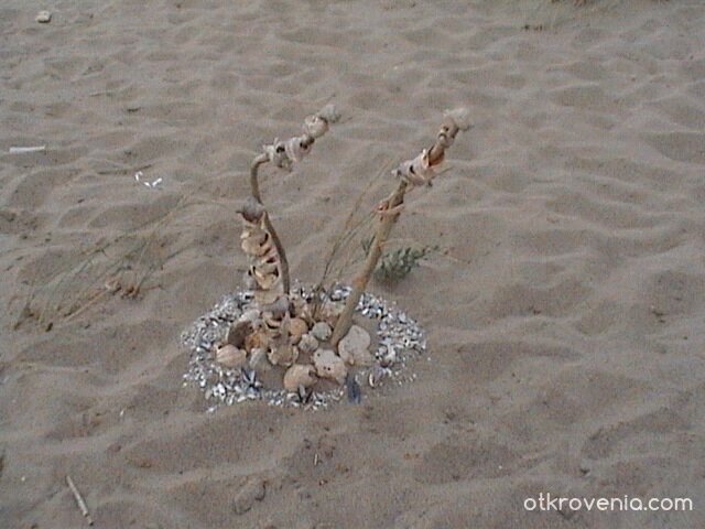 Морска композиция