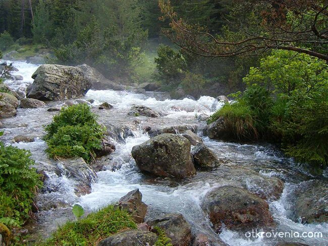 Река Мальовица