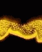 dabobo (Данаил   Боянов)