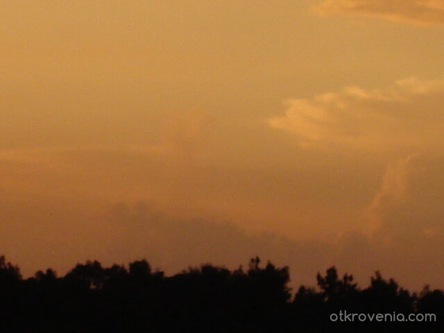 Лебед в небето