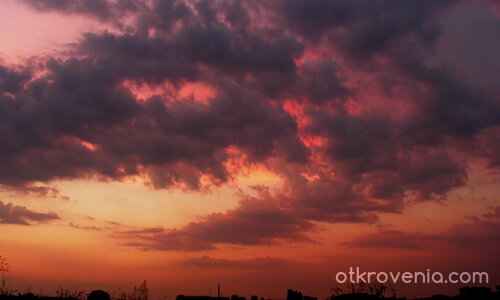 цветовете на залеза