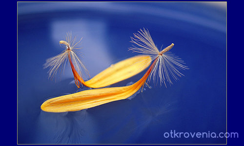 Разминаване