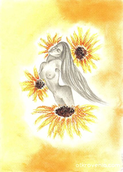 Меко събуждане сред слънчогледи